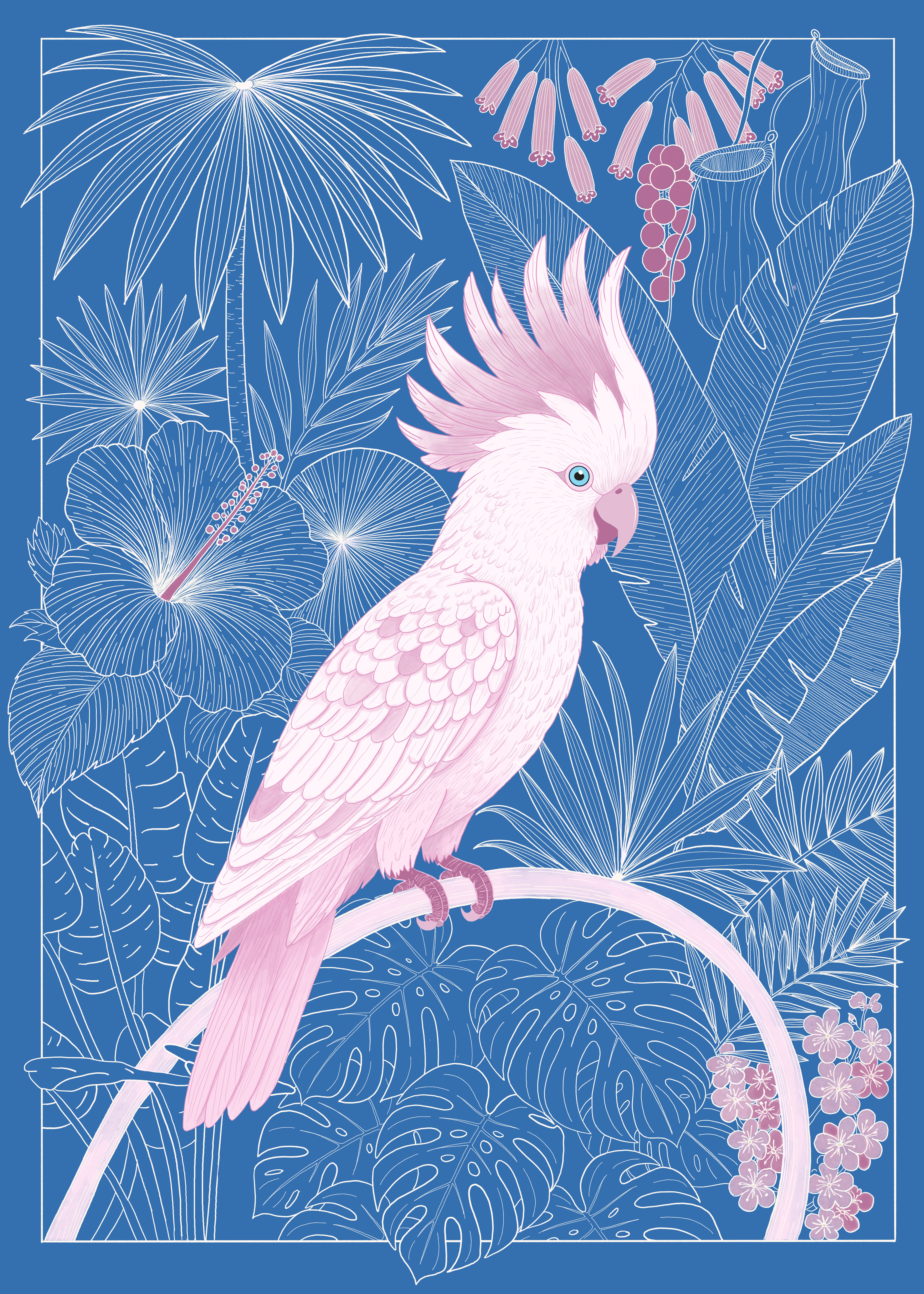 Illustration artwork display