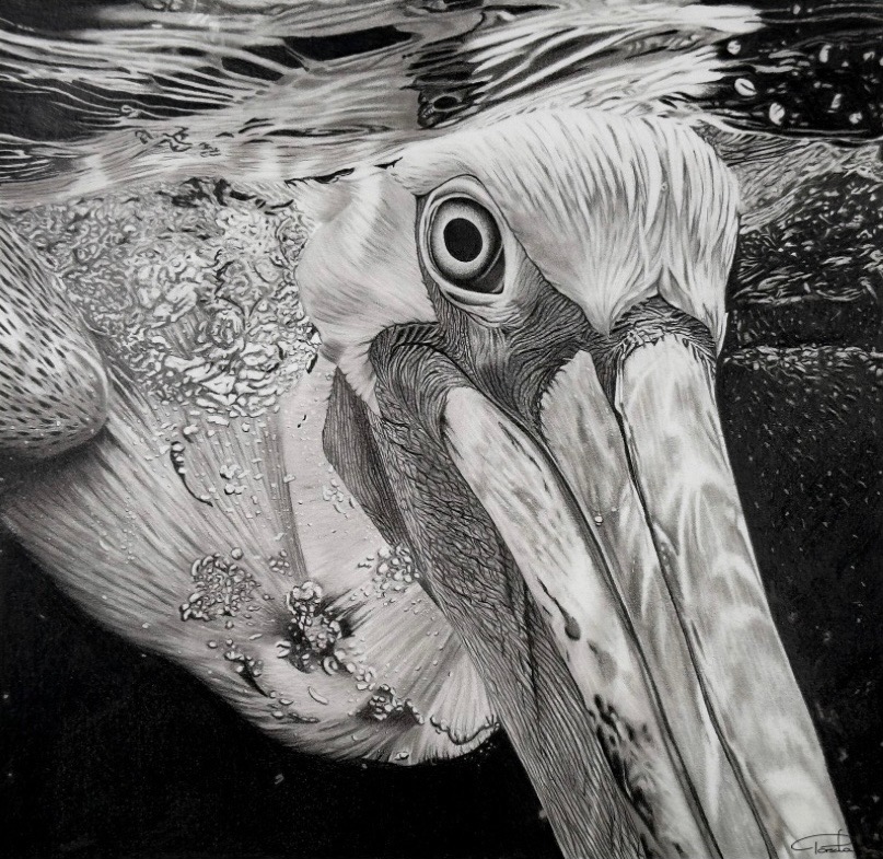Graphite portrait detail